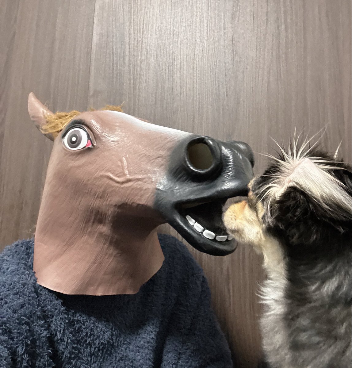 GMOサイン tweet media