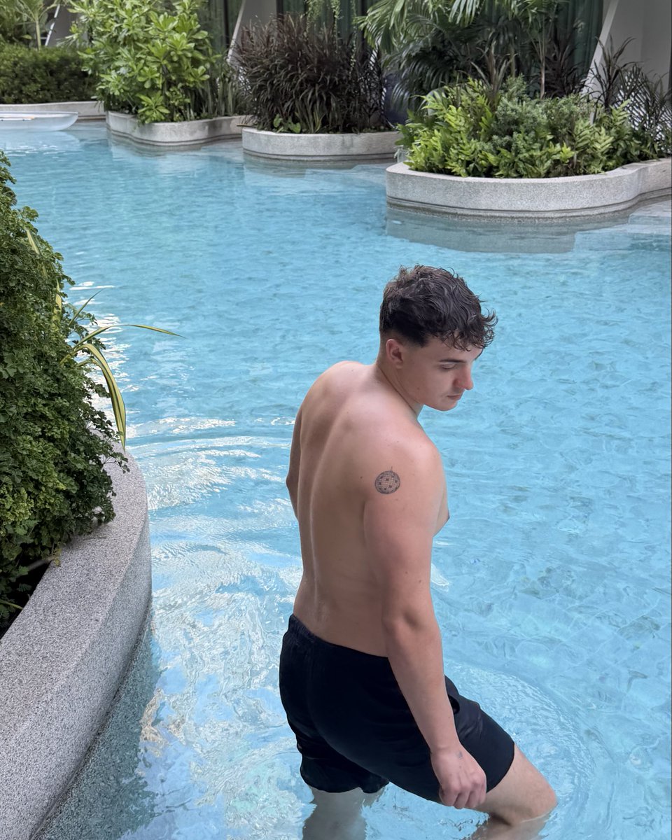 tom 🪩 tweet media