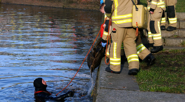 HLlive's tweet image. Tote Person aus der Trave geborgen dlvr.it/TS24B7 #Lübeck #Trave #Polizei #Todesermittlung #Leichensuche