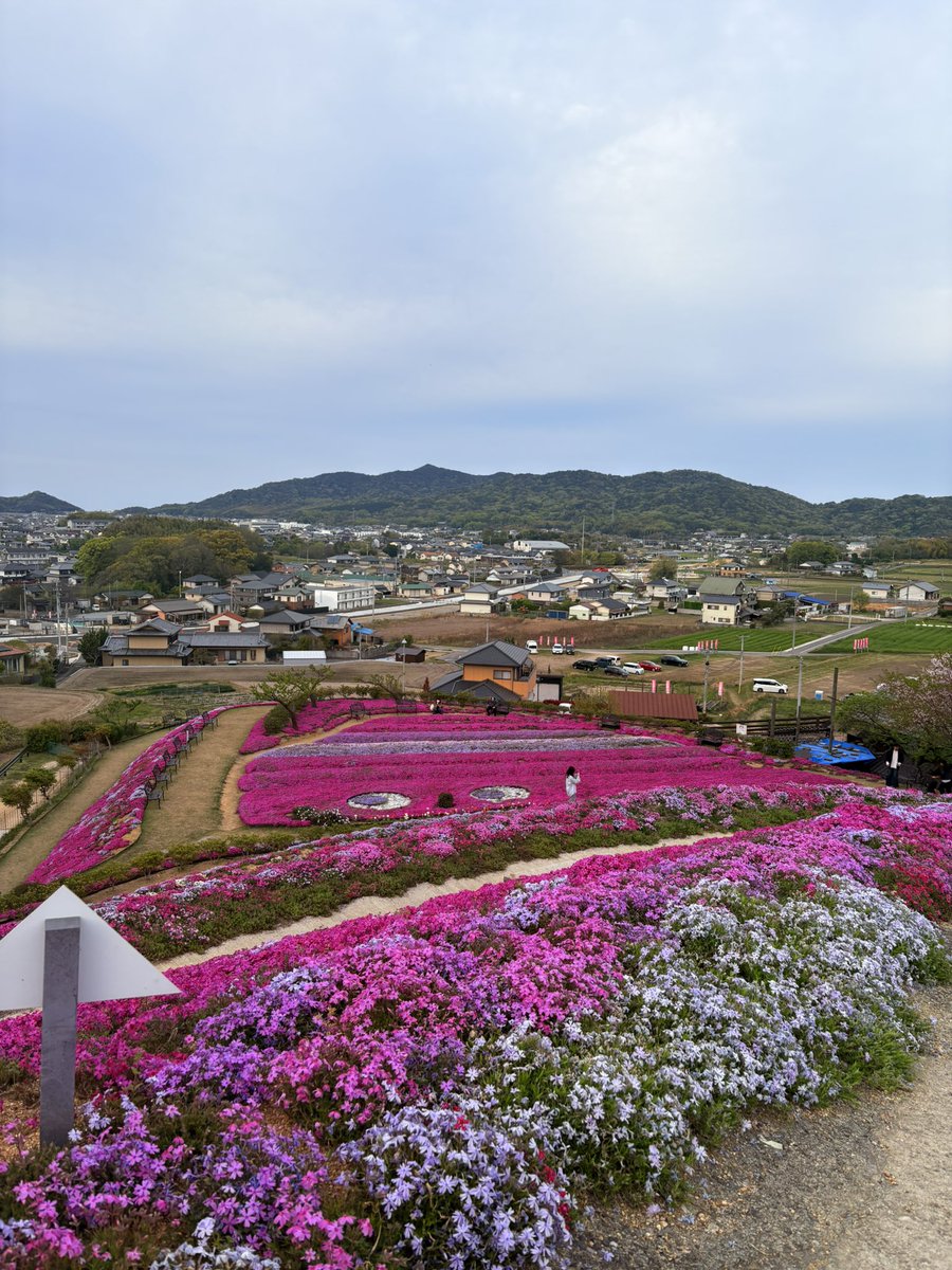 putiputiReality's tweet photo. 楽しゅうございました https://t.co/Awu5A2vYCX