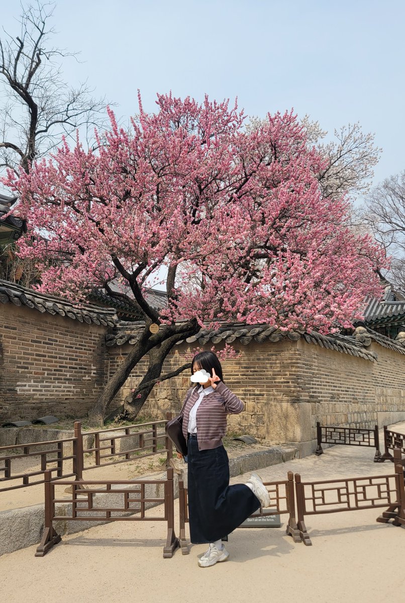 둥☁️ tweet media