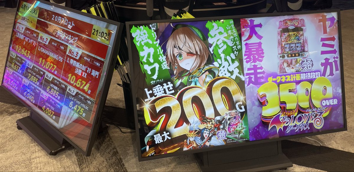 アス熊 非公式アカ🧸 tweet media