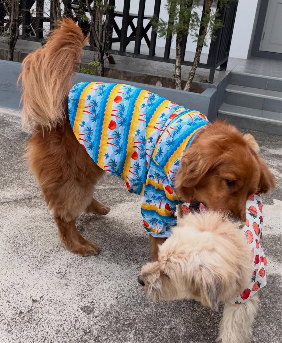 📆 2026.04.14
IG bebearboeing_ update

📝 หนุ่มสาวเสื้อลาย 🔫☀️💦 

📌; instagram.com/p/DXHLb1kk7Ci/…

#OhmThitiwat <a href="/ohmthitiwat/">Ohm act as P’U ,,because of U (OhmTR)</a>
#Songkranfestival #bebearkhaitun 
#bebearboeing