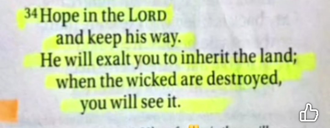 Howard Campbell tweet media