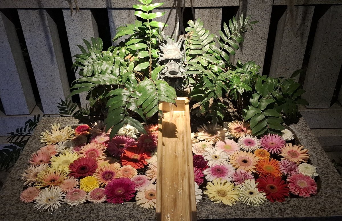 💕 れんれん ✨️(なかなか遊びに行けず🐢リプですみません🙇) tweet media