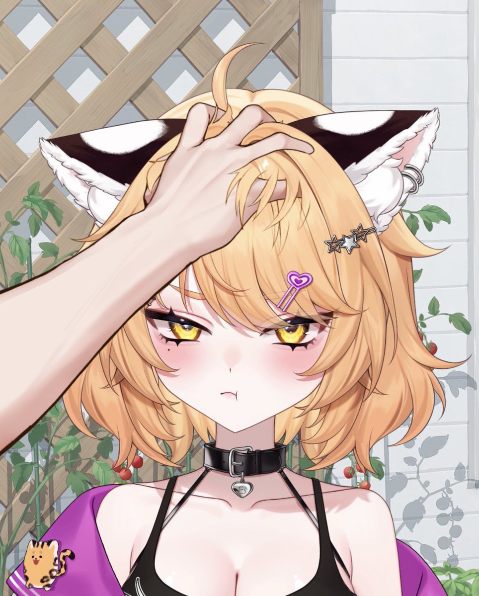 Kirana🥥💰UNCAPPED SUBATHON LIVE🔴 tweet media