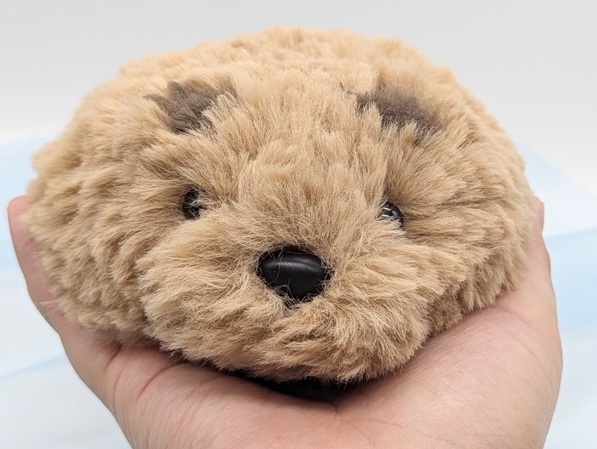 糸も、毛糸も。 tweet media