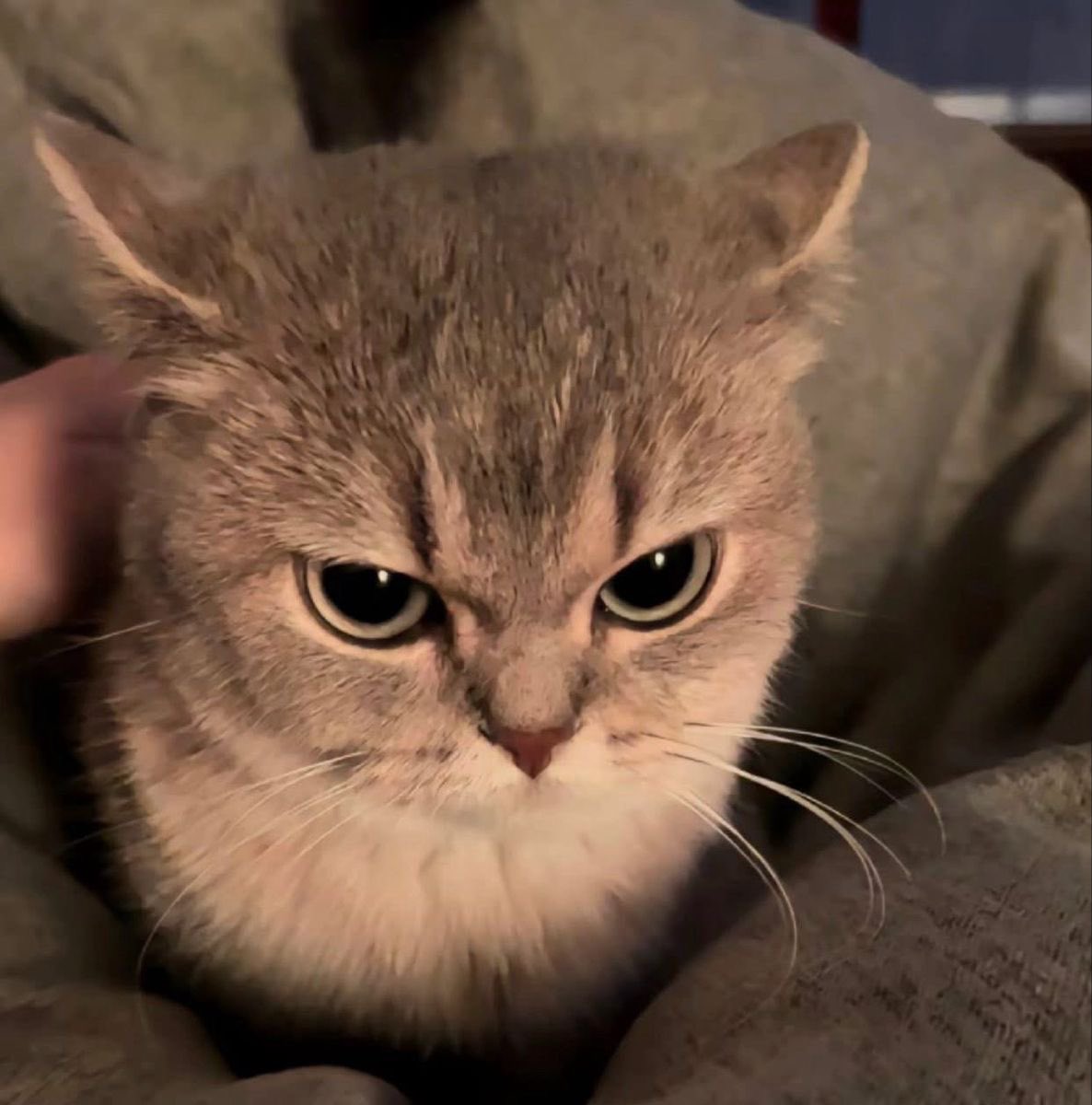 uraai archivist 👩🏫 tweet media