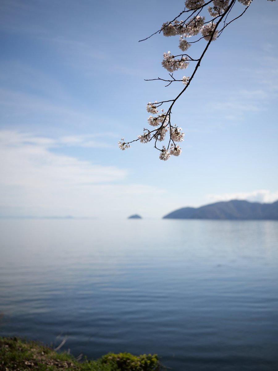 えふりぃね tweet media