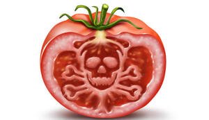 IQ89 Partisi tweet media