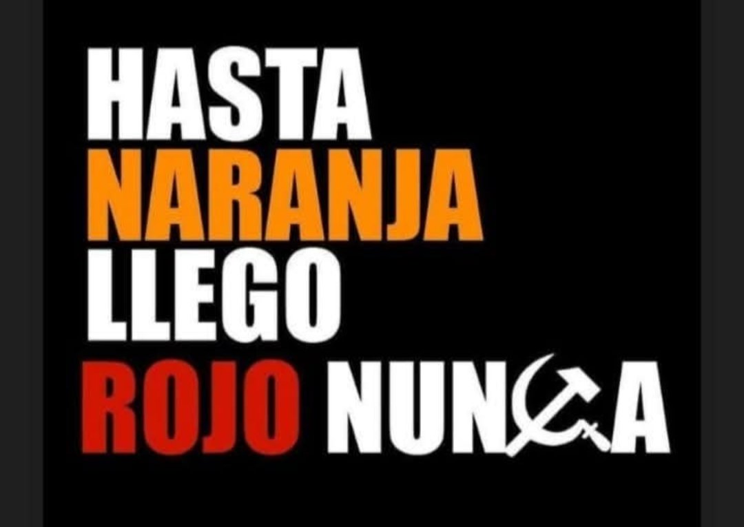 𝙻𝚞𝚒𝚜 𝙼𝚊𝚝𝚊𝚖𝚘𝚛𝚘𝚜® tweet media