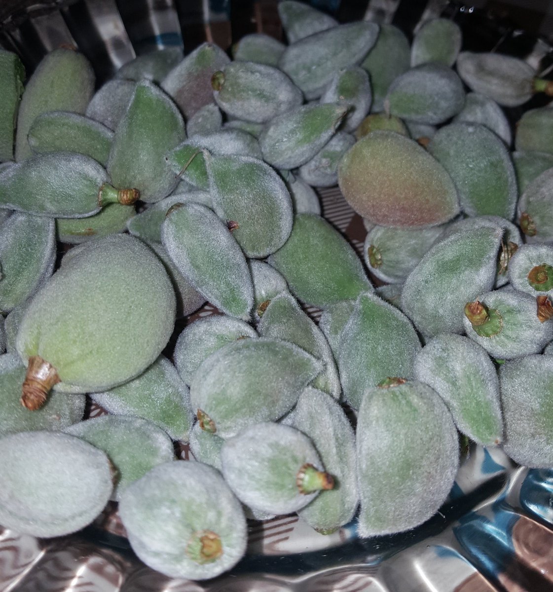 Mustafa. tweet media