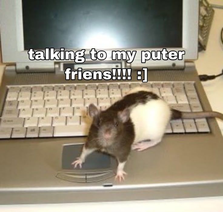 Clémence tweet media