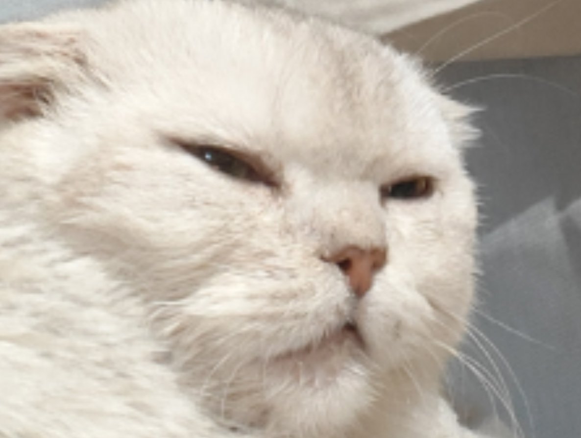 ASMOART || 18+ || прикалывается tweet media