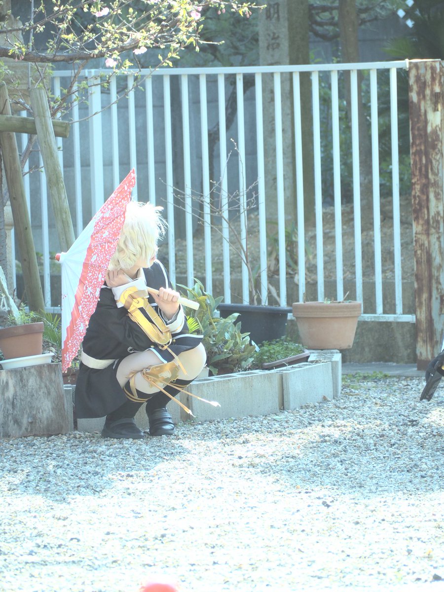 明けに日の出@4/18･21 撮影会25本丸 26シートレ tweet media