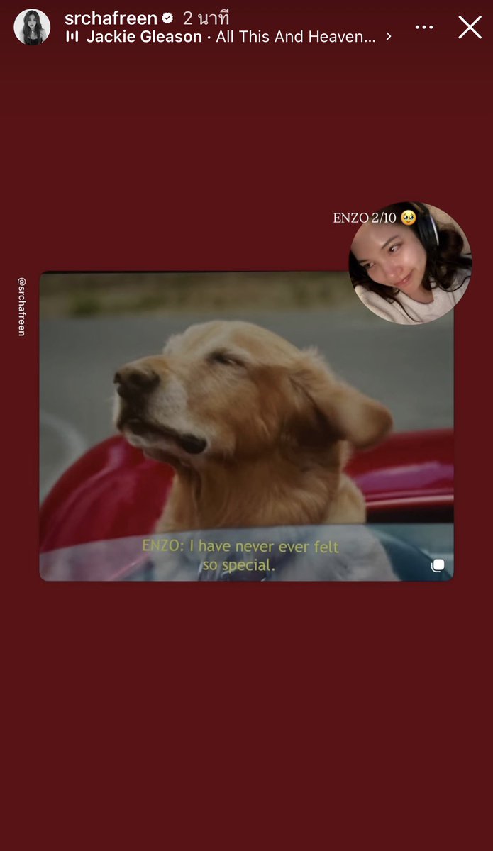 🪽angel tulip green team💚🤍 tweet media