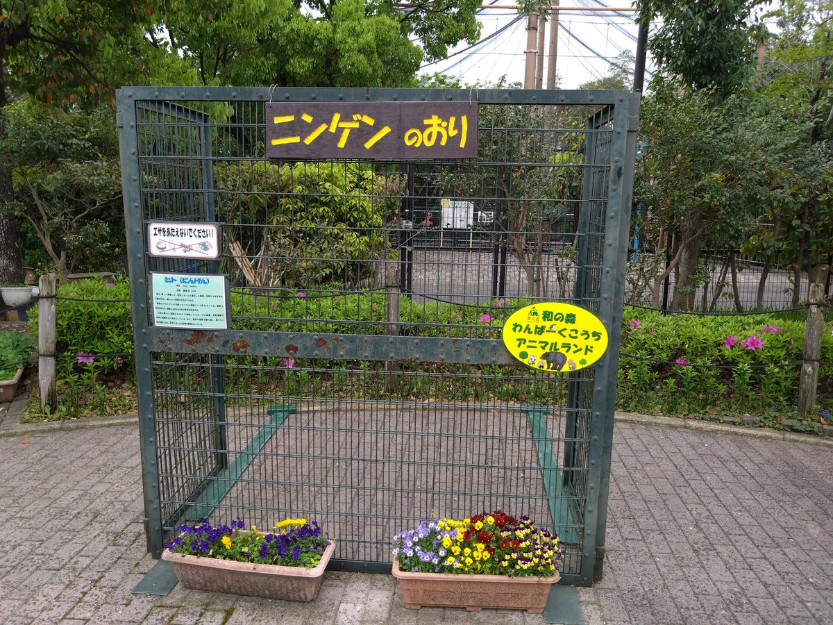 てるらん tweet media
