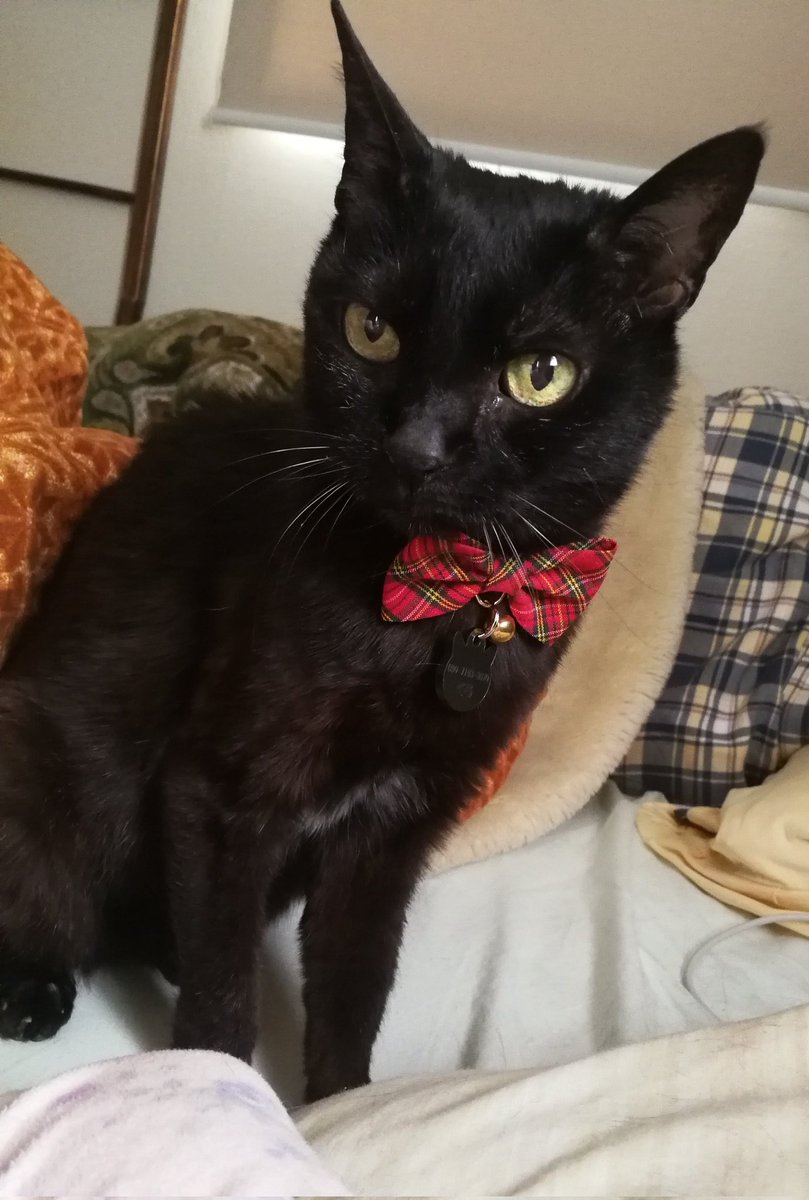 guillaume tweet media