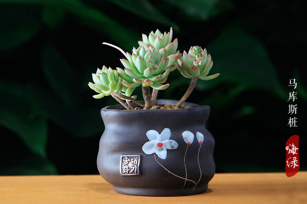 Paul white tweet media