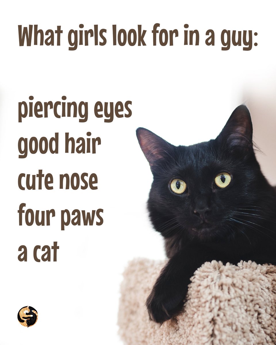 ColeTheBlackCat's tweet image. Is this true? 😍🖤

#CatPeople #CatLadies #CuteCats #Cats