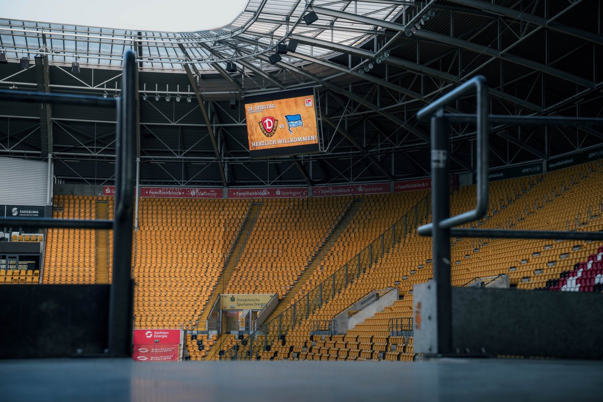 SG Dynamo Dresden tweet media