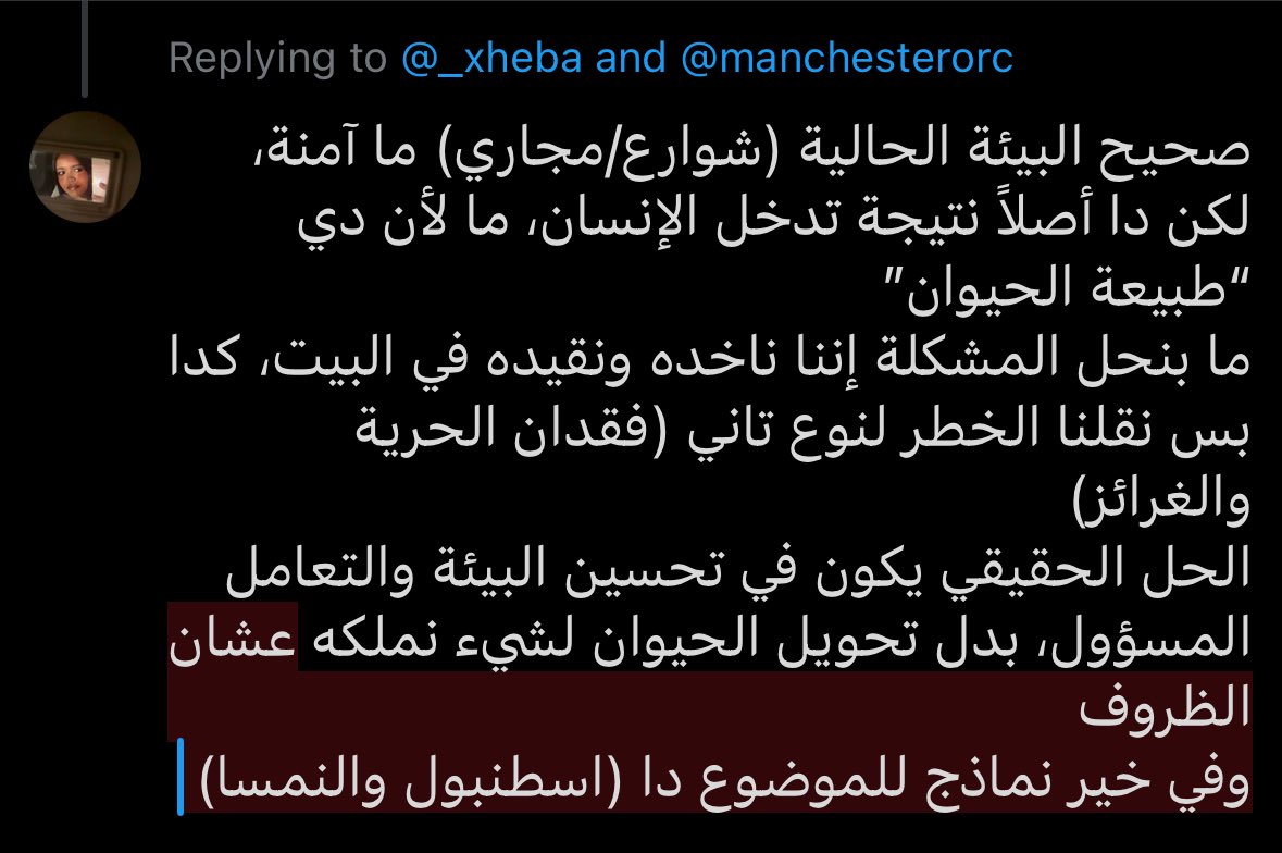 هبة tweet media