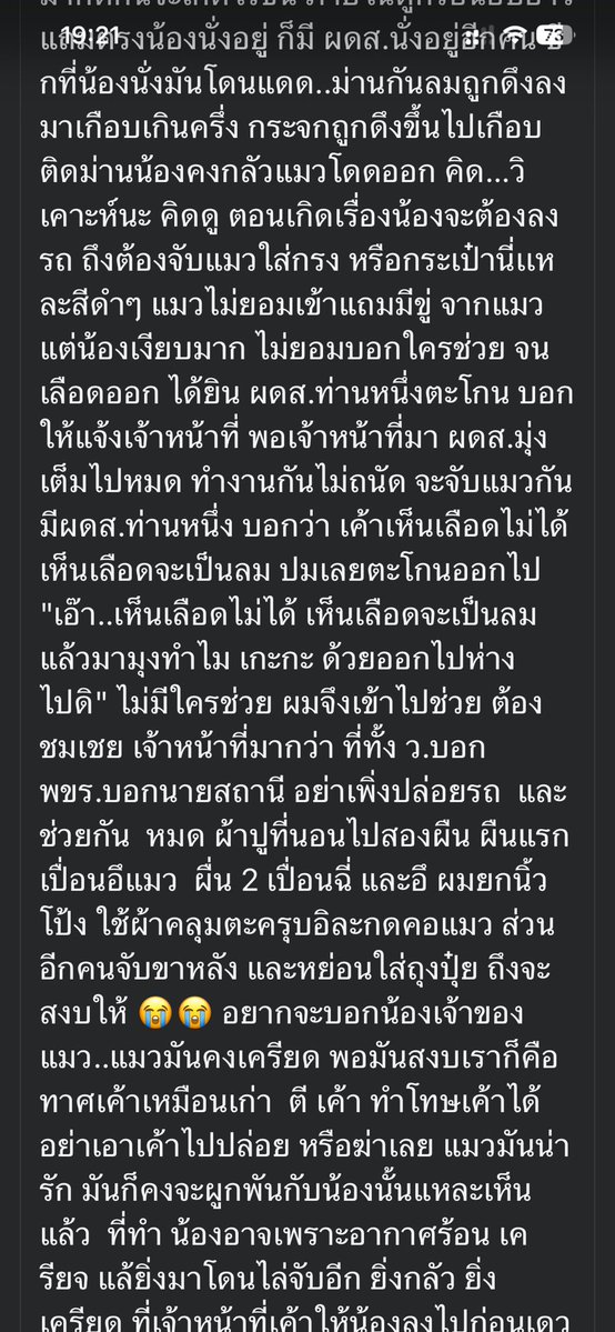 พี่ชายที่แสนดี 🇹🇭☸️👑 tweet media