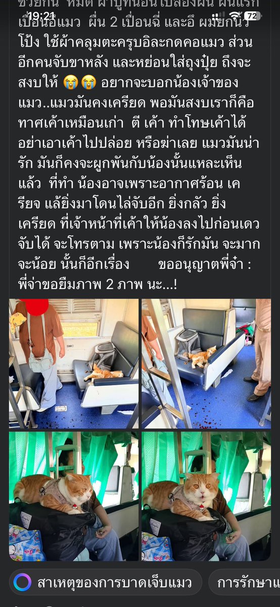 พี่ชายที่แสนดี 🇹🇭☸️👑 tweet media