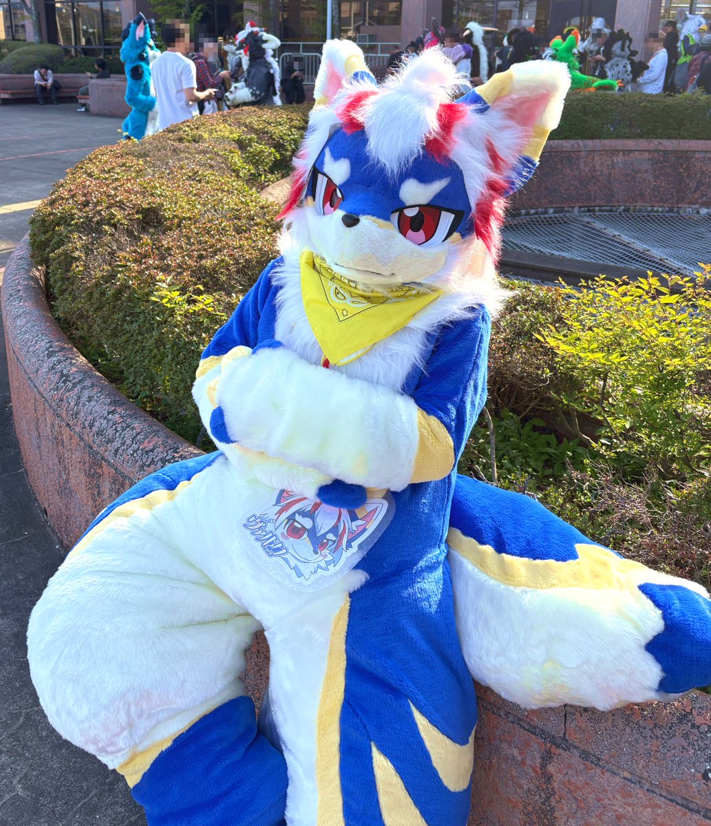 こりいぬ tweet media