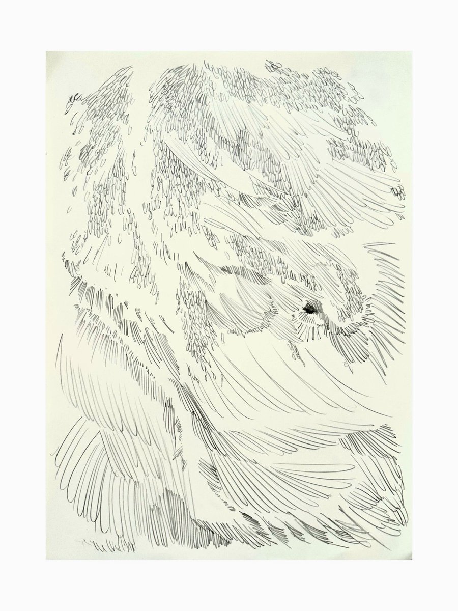 展示が三日後にせまりました！
100号を5点、ドローイングを約100点展示します。
高円寺にてお待ちしております！