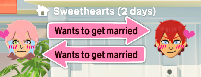 noé 🎰🐱 tweet media