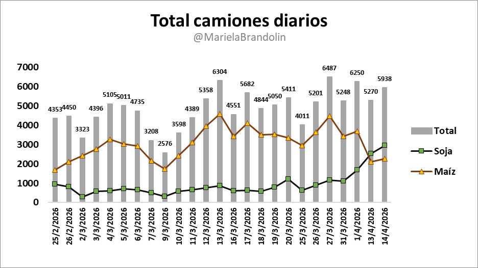 Mariela Brandolin tweet media