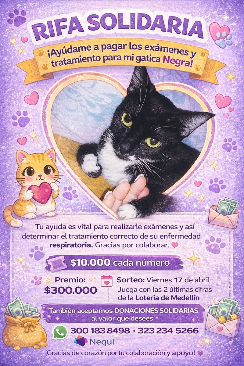 Perfect Couple 🌻🌹😈 tweet media