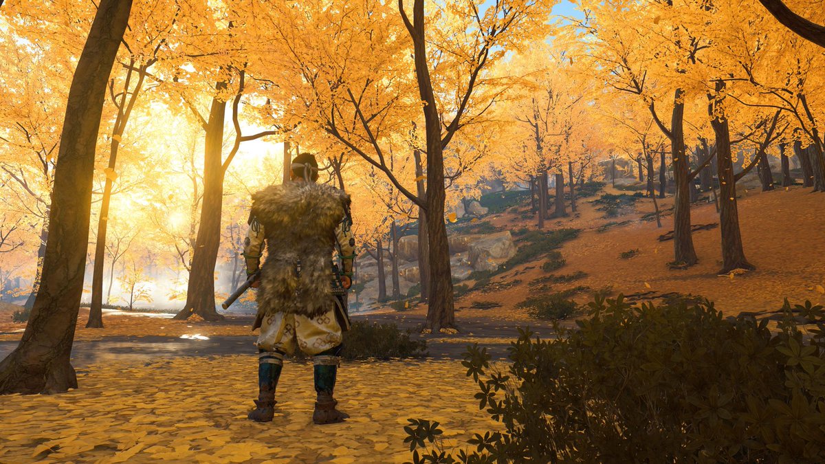 次のゲームはツシマ！
ヨーテイを先にやってるので戦闘はサクサクですね...！楽しい⚔️
ヨーテイの時も思ったけどスクショする手が止まらないなぁ...美しい景色が多すぎる。