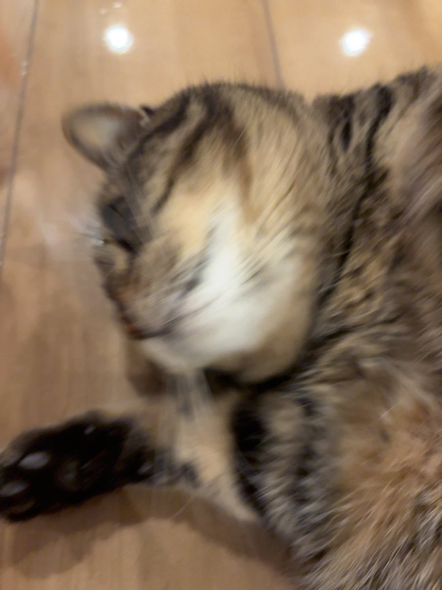 さざみ tweet media