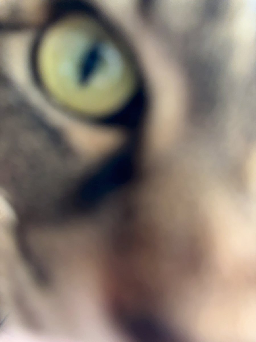 さざみ tweet media