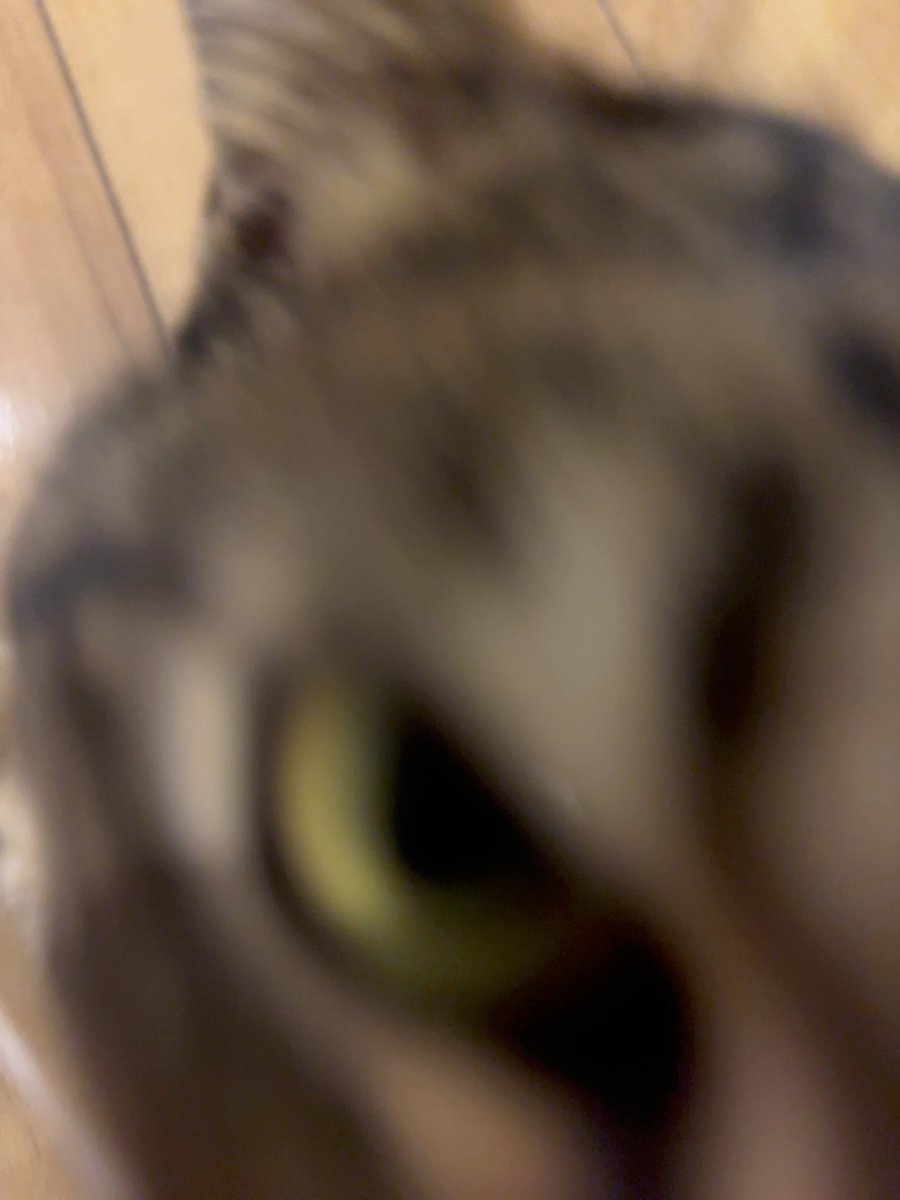 さざみ tweet media