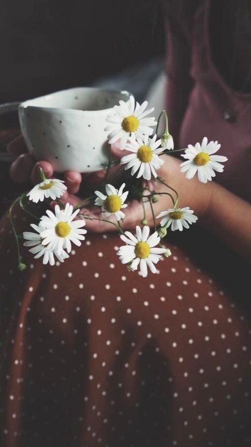 marielaypg's tweet photo. Así llega amor...
sin defensa, sin medida.
#Días 🌼 https://t.co/ADRuEudCn7