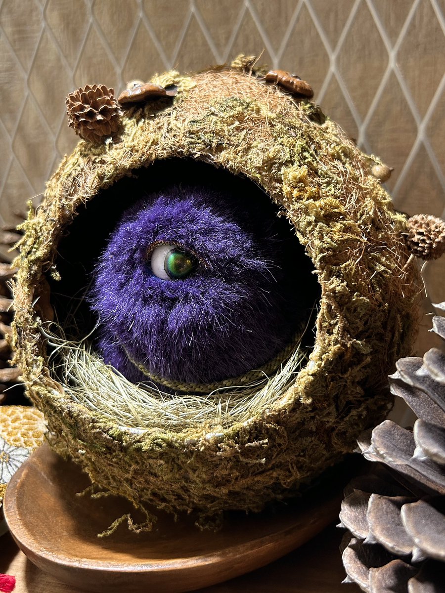 まだ完成ではないんですが、お凹み様に住み心地試してもらってます🪺 
ちと急ぎの作業があるので、終わったら続きやるぞー！
#お凹み様