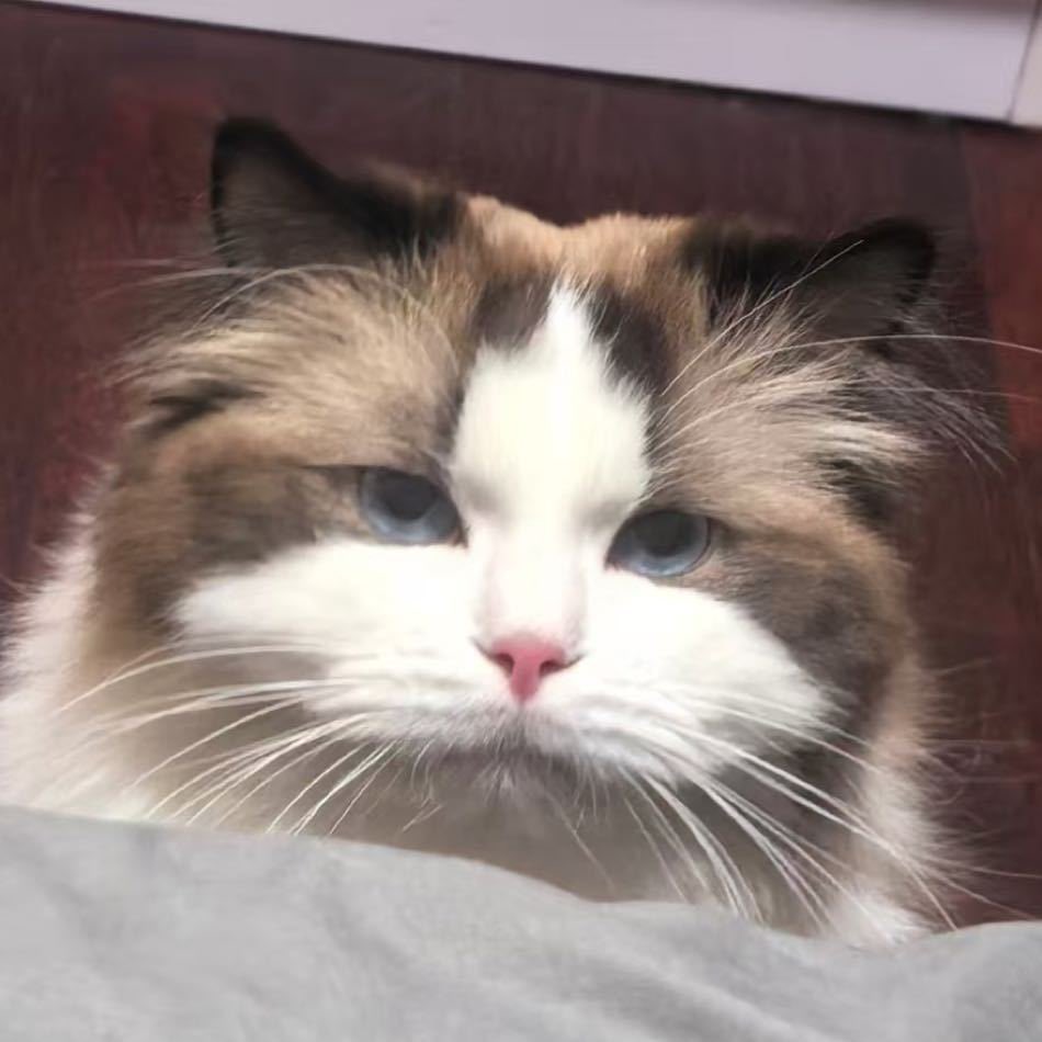 주오항 웨이보 프사 변경!! 후미프사됨😻