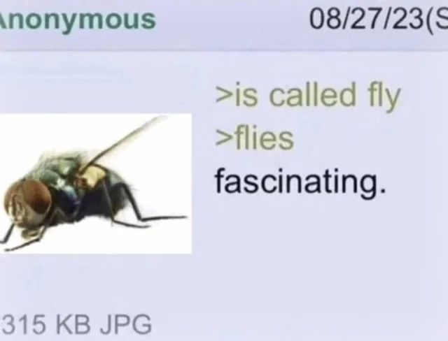 The 4Chan Archives tweet media