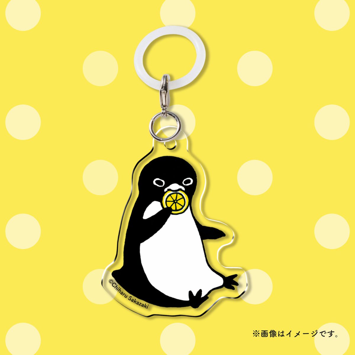 【公式】坂崎千春 版画展『ペンギン絵日記』〈ひろしま編🕊️〉4.23（木）スタート！！🐧 tweet media