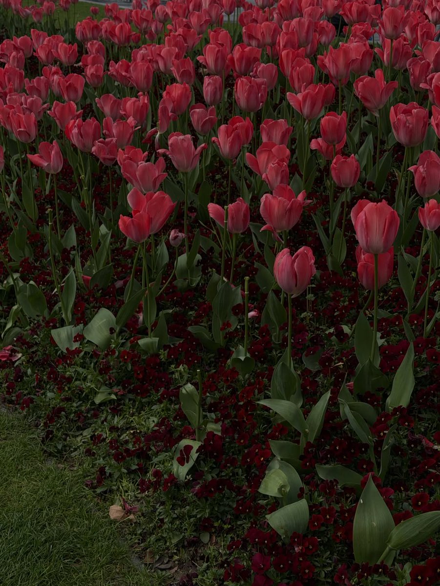 Mami.K ไงจะใครล่ะ🌷🪽 tweet media