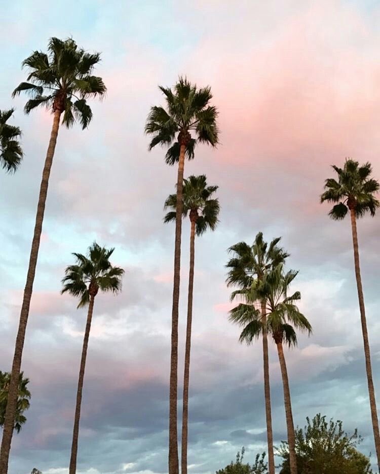 HeavenOn42803's tweet photo. Summer🤍 https://t.co/TlHVcbEIIC