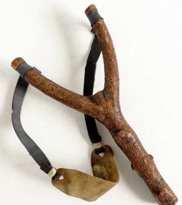 Think & Guess tweet media