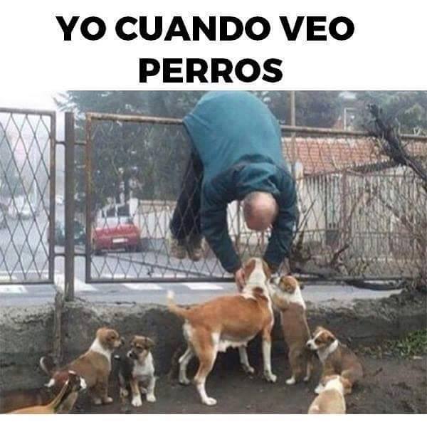 EcoInventos tweet media