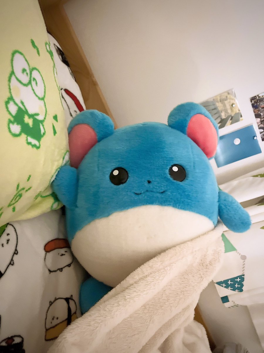 もくろトレーナー tweet media