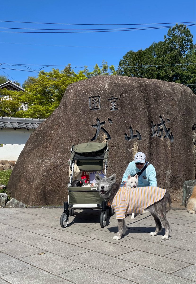 koNohana tweet media