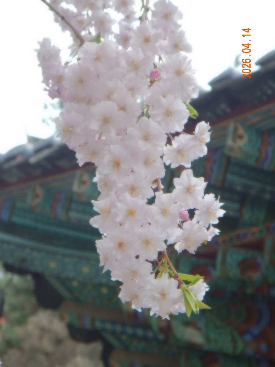 𝗦𝟮 tweet media