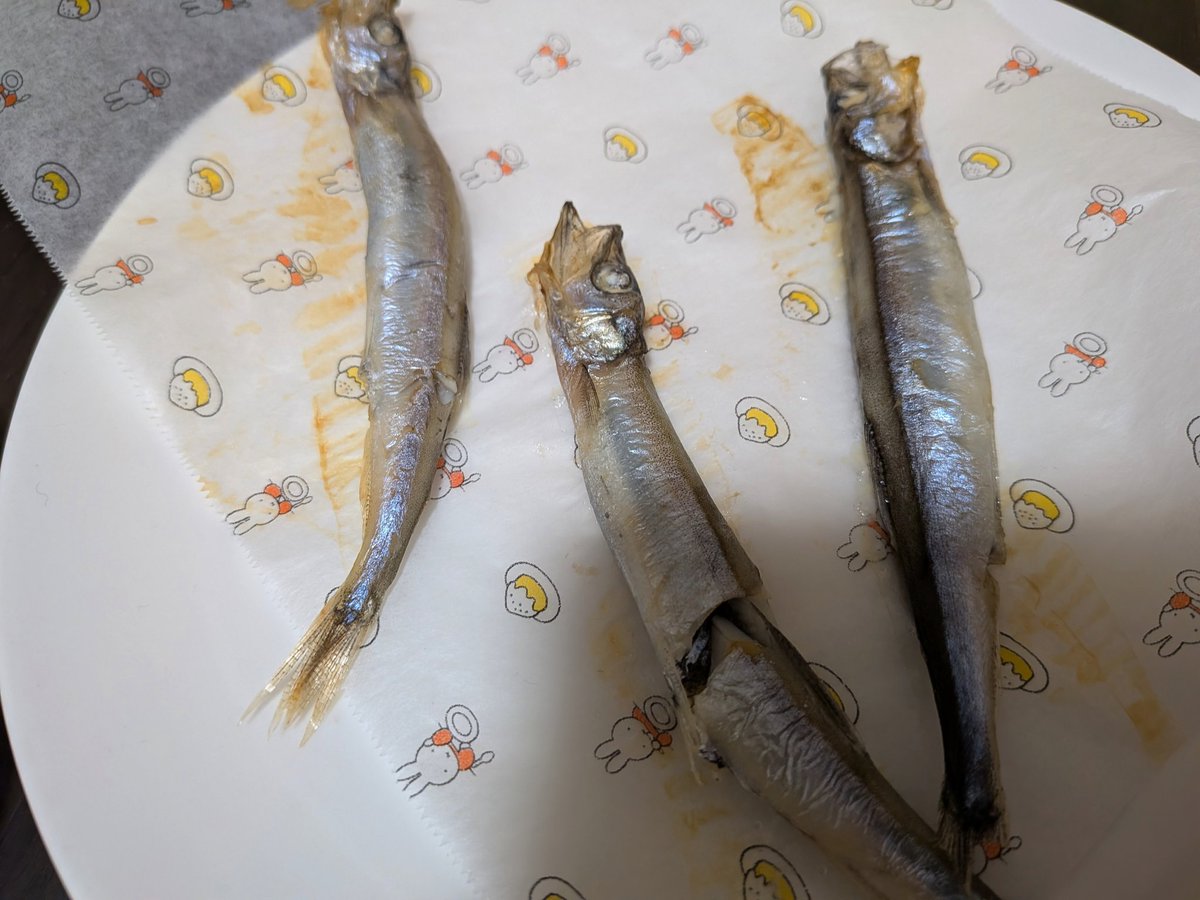 cinamon52688970's tweet photo. コオロギパウダーで🤣🤣
卵白パウダーと豆パウダーも
納豆麹と玄米、ししゃも https://t.co/afCfatq5R5